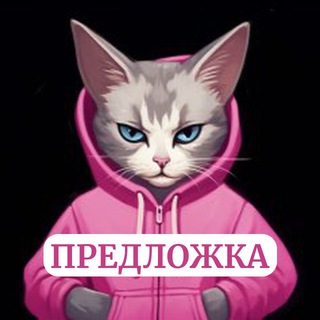 ЖМУРКА-предложка
