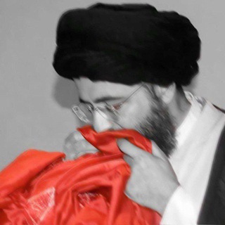 السيد محمد رضا الشيرازي(٢)