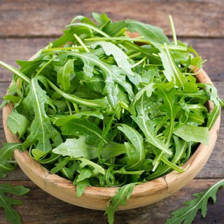 Rucola