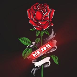 ⎯꯭̽🖤𓆩꯭〭〬𓏲⃝⃝꯭❤️𝐫e𝐝࿐Rose🌹🖤