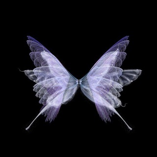 Pau¹🦋pm