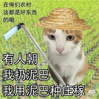 s : memes | BOT