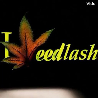 ویدلش | weedlash
