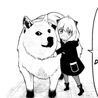 Doge Edits