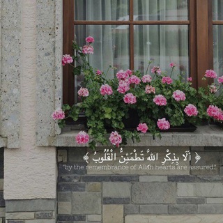 صدقـه جاريه..