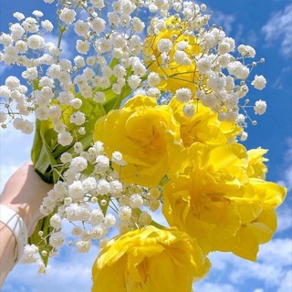 @ Ўзбегойим .