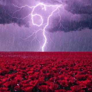 67