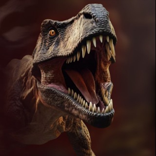 로또 DINO