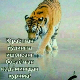 Baxtingni top