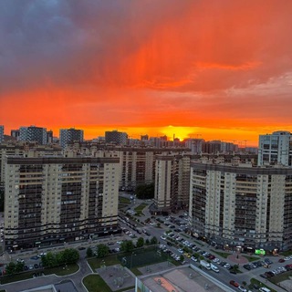 ОЛИМПИЙСКИЙ | АВАНГАРД | 5 СТОЛИЦ ВОРОНЕЖ