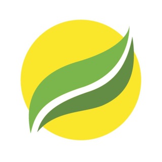 БФ "Рокада" Івано-Франківськ