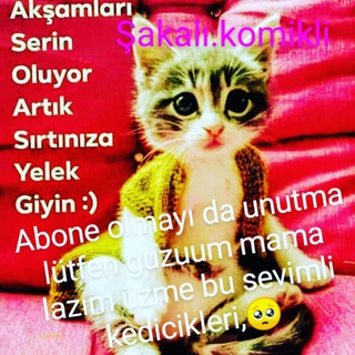 Şakalı.Komikli YouTube video paylaşım Sohbet&Muhabbet