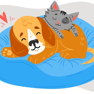 Help Animals