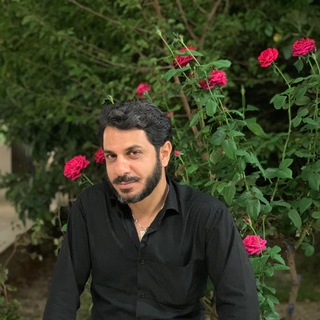 Mojtaba R