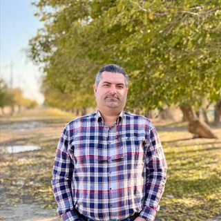 Dariush Radaei