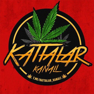 ☘ Kattalar kanali 🔞