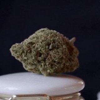 Grass Candy ️