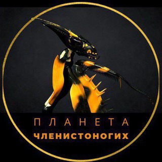 Обсуждения