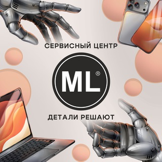 ML-Service SPB