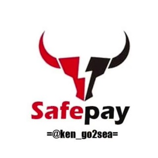 SafePay海外支付官方商务对接payment