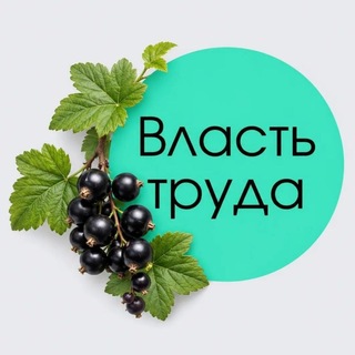 Власть труда