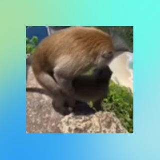 Кислые попки