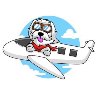 В ЭМИГРАЦИЮ С ПИТОМЦЕМ✈️