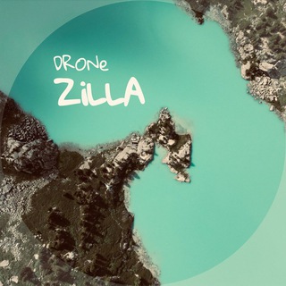 DroneZilla Suggestion Bot