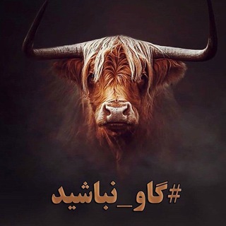لدفن گاو نباشیم !