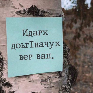 Чеченские цитаты и видео❤️‍🔥