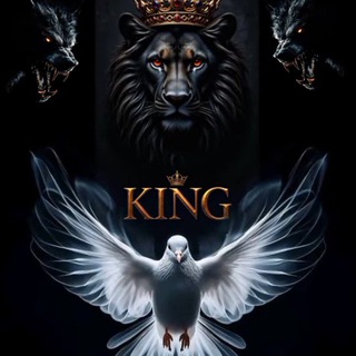Movies discossion groups 🎬🎬