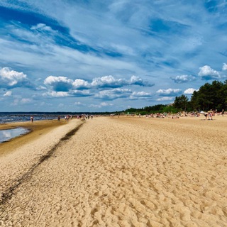 Бот пляжа «Дюны» 🏖