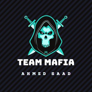 @Mr.MAFIA🔥 team