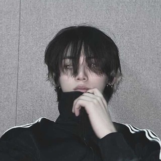 탯냥이 mail