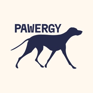 Pawergy | Dog Studio