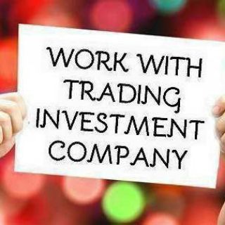 FX_TRADERS 💴💴💴 INVESTMENT PLATFORM FOR BEGINNERS 🌏🌏🌏🪙🪙🪙🪙🪙🪙🪙