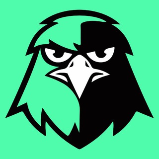 Falcons Inu Community