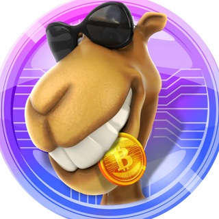 CamelSwap Community