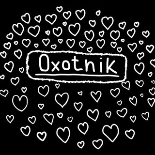 чат Oxotnik 🪓