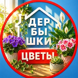 КОМНАТНЫЕ ЦВЕТЫ 🌺 Дербышки
