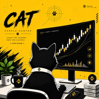 Cat Gem Group