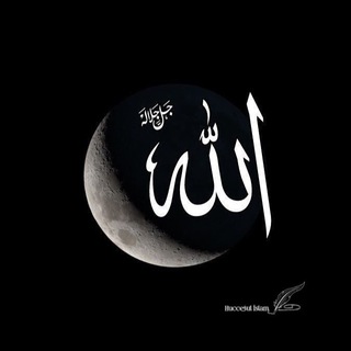 Huccetul İslam