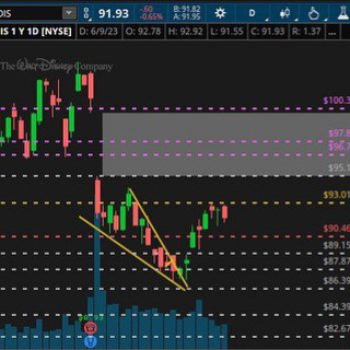 Expert traders world 🌎
