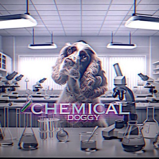 𝗖𝗵𝗲𝗺𝗶𝗰𝗮𝗹.𝗱𝗼𝗴𝗴𝘆