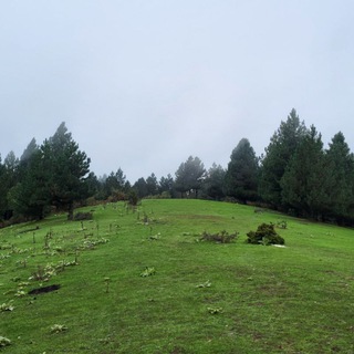 Seyed M. M. Hosseini