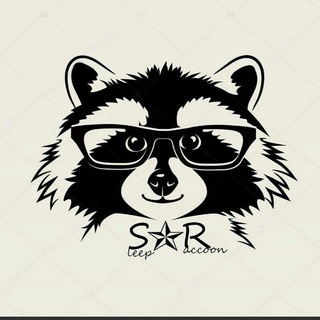 B.S.O BIG store OPT Admin