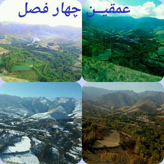 کانال خبری عمقین