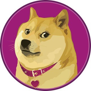 DOGETA - 💕 Doge's Girlfriend 💕