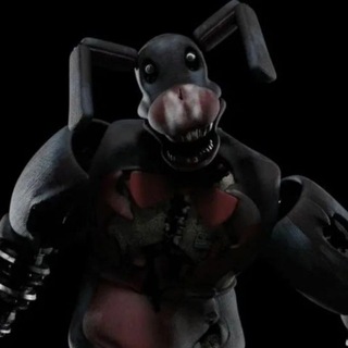 彡 𝕟𝕠𝕤𝕖𝕪 彡