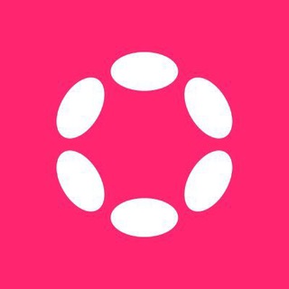 Polkadot official support